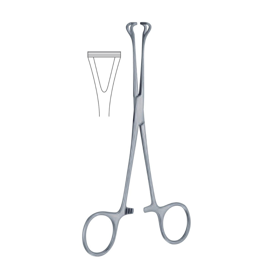 PINZA BABCOCK RECTA, FENESTRADA, CON CREMALLERA. 16 CM. H.P.
